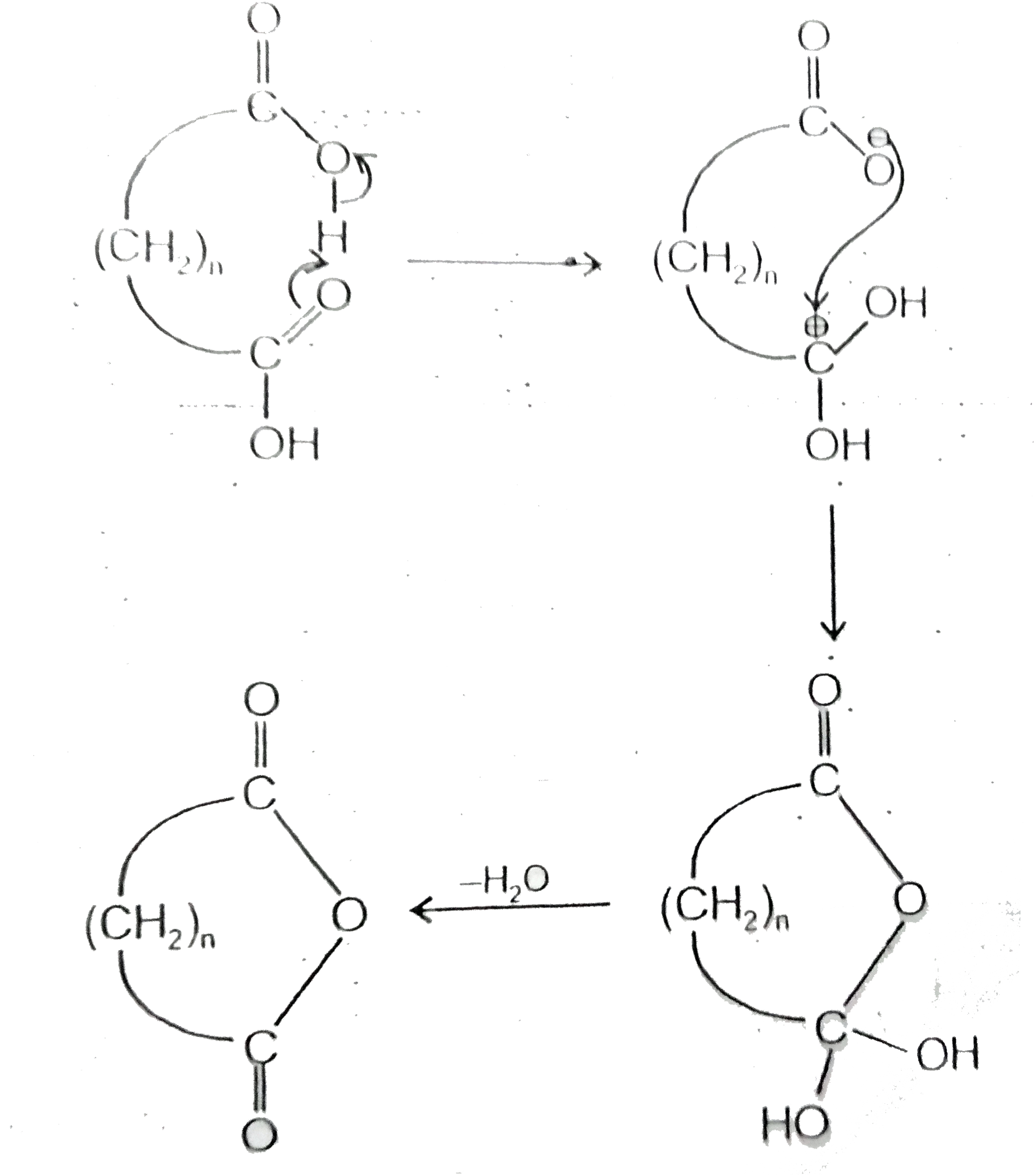 Certain  dicarboxylic acids spontaneously eliminate water when heated forming cycioc anhydirides. But for the reaction to be successfully. The cyclic anhydrides product must normally have a ring size of fivee or six members. There are two important reasons, first, the second carboxyl group can serve as the acid catalyst (by intramolecular proton transfer), as well as the nucleophile. And second, the high temperature involved reduce the need for catalyst.      Which of the following dicarboxylic acid will not for cyclic anhydrides?