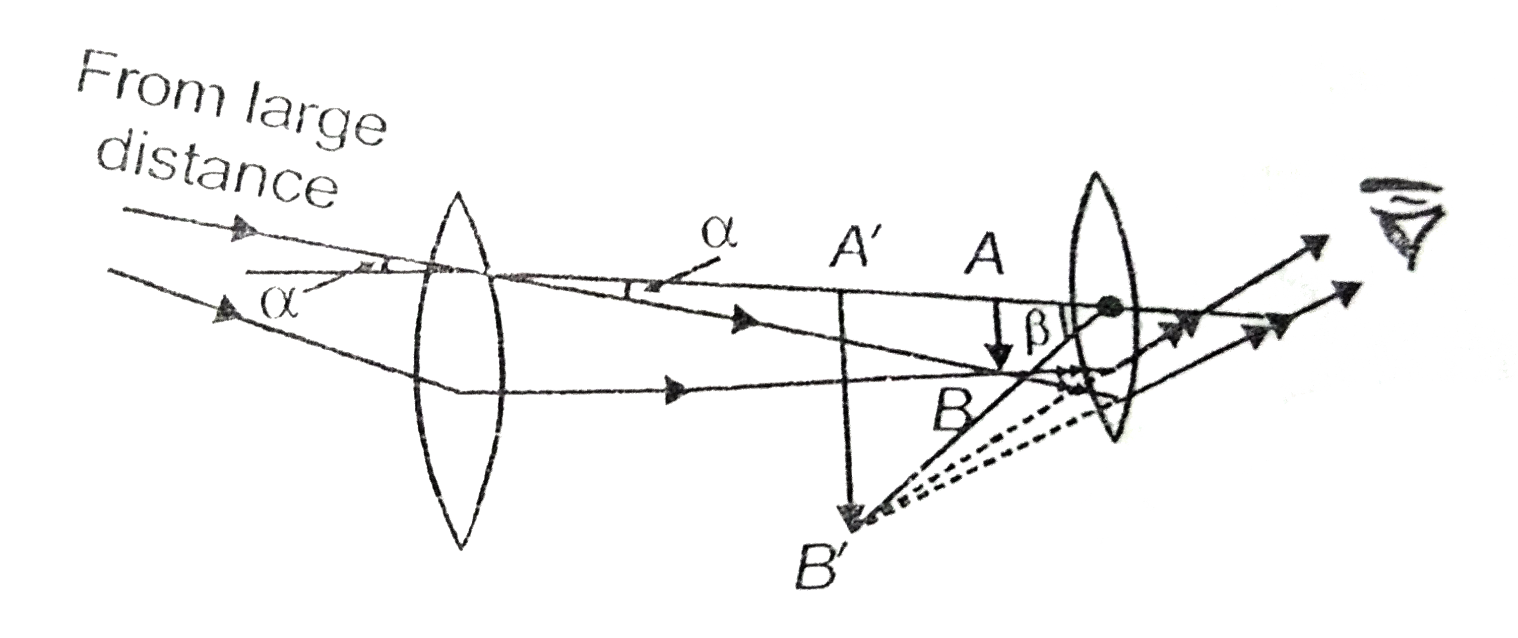 The figure shows a simple arrangement which works as an astronomical telescope. The arrangement consists of two convex lenses placed coaxially. The lens which faces a distant object is called the objective. It has a large aperture and a large focal length also. The second  lens is closed to the observers eyes. It is called the eyepiece. It has a smaller aperture as compared to the objective. Its focal length is also small in comparison to objective.      The objective forms a real image of a distant object. This image acts as the object for the eyepiece. The eye-piece may form its image at a large distance (oo) or at least distance of distinct vision (D = 25 cm). The magnifying power of the telescope is the ratio (-beta)/(alpha). Maximum angular magnification is produced when the final image is at the least distance of distinct vision.   A telescope has an objective of focal length 50 cm and an eye-piece of focal length 5 cm. The least distance of distinct vision is 25 cm. The telescope is adjusted for distinct vision and it is focussed on an object 200 cm away. The length of the telescope is