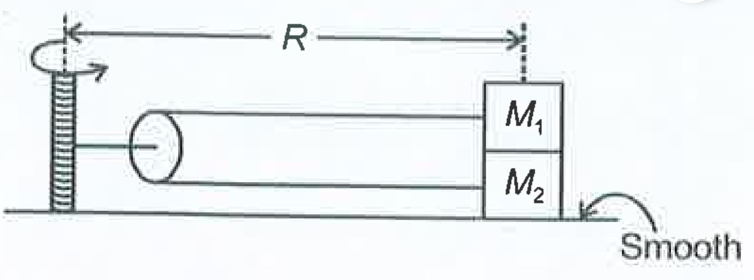 In the diagram shown,the coefficient of friction between the blocks is equal to mu.Find out the maximum angular speed with which the system can be rotated so that no slipping takes place?