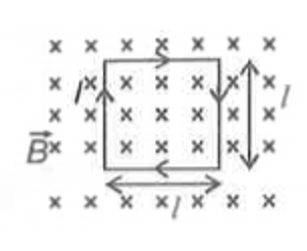 A current carrying conducting square frame of side I carrying current I is placed in a uniform transverse magnetic field vec B as shown in the figure. Choose the incorrect statement.