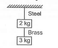 If the ratio of diameter, lengths and Young's modulus of steel and brass wires shown in figure are 2 : 1, 2 : 1 and 2 : 1 respectively, then the corresponding ratio of increase in their lengths would be