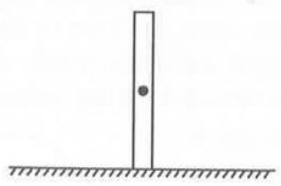 A thin rod of mass M and length L is released from rest in position shown. The path of centre of mass of rod till the rod become horizontal is [ Assume surface is smooth]