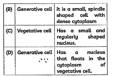 ocr_image