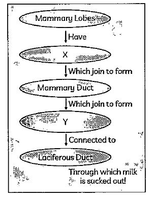 Observe the give diagram and the table. Answer the question that follows: