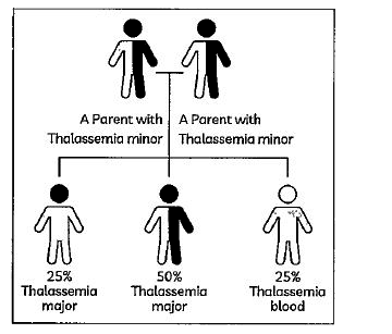 Observe the given figure and answer:      Thalassemia is a blood disease which is transmitted from parents to the offsprings when both the partners are heterozygous (unaffected carrier) for the gene. It is: