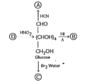 In the given reaction:      A, B, C and D respectively are: