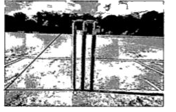 Amit and Prem are very good cricketers and also represented their school team at district and even state levels. One day, after their match, they measured the height of the wickets and found it to be 28 inches. They marked a point . P on the ground as shown in the figure below:    ,  If cot P = 3/4 the length of PQ is: