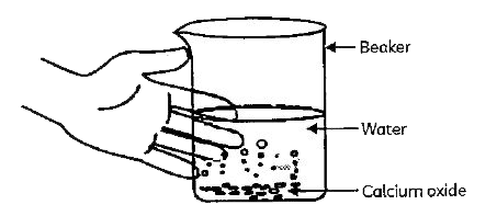 Identify the type of reaction in the following experiment:      (I) Combination Reaction   (II) Decomposition Reaction   (III) Exothermic Reaction   (IV)  Endothermic Reaction