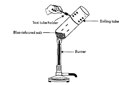 A blue coloured salt turns white when heated but regains its blue colour when moistened with water as shown in figure below :      The salt is :