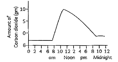 The given graph show how the amount of carbon dioxide taken in by a plant varies though a 24 hours period.       At what time the rate of photosynthesis is greatest ?