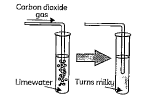Case 1 : Apoorna took a lime solution and passed a gas 'X' through it .The solution becomes turgid . This solution was then divided into two parts In the first part ,more of gas 'X' was passed .While in the second part concentrated sulphuric acid was added . A white precipitate was fromed in second part       Ca(HCO(3)) is :