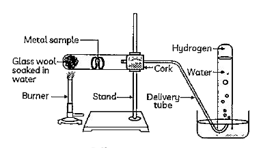 Sanket's teacher arranged the apparatus as shown below to demonstrate the action of steam on metals.      Which of the following metals do not react either with cold water or with hot water but only with steam?  (I) AL (II) Cu   (III) Pb (IV) Fe