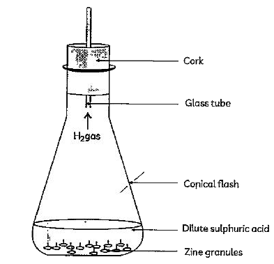 Which of the following characteristics can be observed when dilute sulphuric acid is added to zinc granules in a conical flask?      (I) Evolution of a gas   (II) Increase in temperature   (III) decrease in temperature   (IV) Formation of precipitate