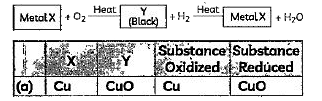 Identify the substances marked X and Y from the figure below and select the row containing correct information: