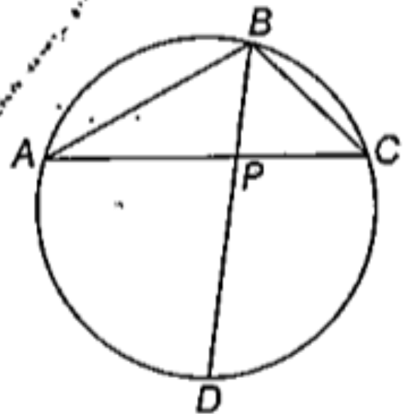 In the following figure AB=21cm, BC=15 cm, AC=24 cm. Point P is the mid-point of arc AC, and chord BD bisect chord AC at P. find the ratio BP/PD.