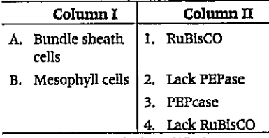 Match the following columns.