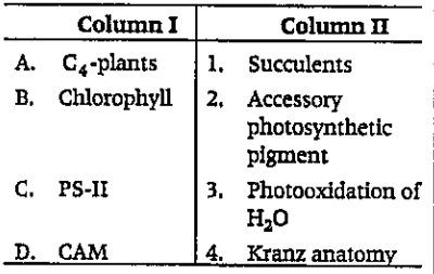 Match the following columns.