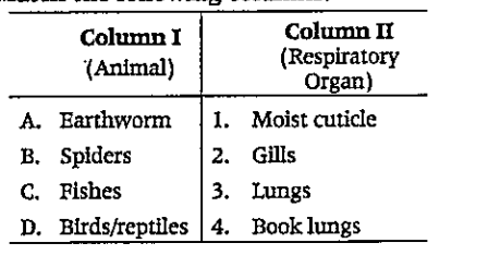 Match the following columns.