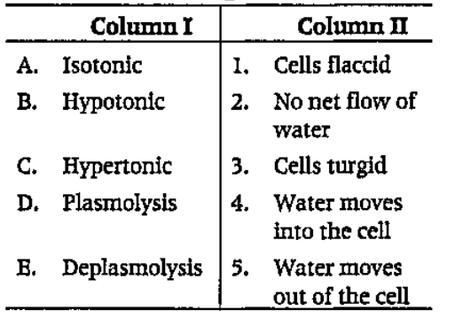 Match of the following columns.