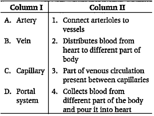 Match the following columns.