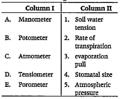 Match the following columns.