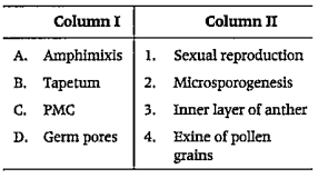 Match the following columns.