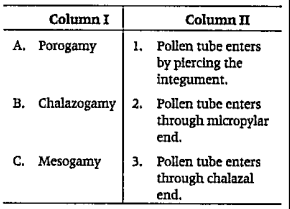 Match of the following columns.