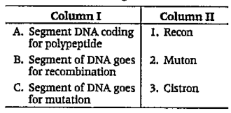 Match the following columns.