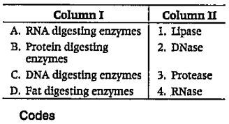 Match the following columns.