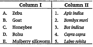 Match the following columns.