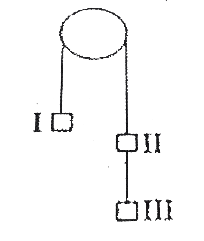 Three equal weights of 3 kg each are hanging on a string passing over a frictionless pulley as shown in figure. The tension in the string between masses II and III will be (Take = 10m//sec^(2))