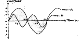 Which sound wave is of more pitch?