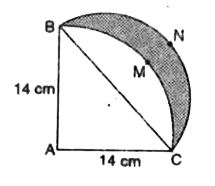 आकृति में ABC त्रिज्या 14 cm वाले एक वृत्त का चतुर्थांश है तथा BC को व्यास मानकर एकअर्धवृत्त खींचा गया है। छायांकित भाग का क्षेत्रफल ज्ञात करें।