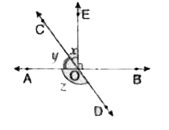 दी गई आकृति में angleBOE=90^(@) तथा AB एवं CD सरल रेखाएँ है | यदि z = 3x हो तो x का मान ज्ञात करें |