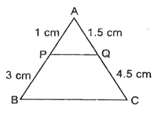 दी गई आकृति में ABC एक त्रिभुज है तथा PQ एक रेखा है जो AB से P बिन्दु पर तथा  AC से Q बिन्दु पर मिलती है। यदि AP=1 cm, PB = 3 cm, AQ=1.5 cm तथा QC = 4.5 cm हो तो सिद्ध करें कि   ar (DeltaAPQ) = (1)/(16) ar (DeltaABC)