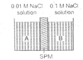 Two solutions marked as A and B are separated through semipermeable membrane as below. The phenomenon undergoing