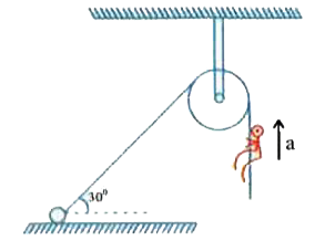 A light stright fixed at one end to a wooden clamp on a ground passes over a fixed pulley and hangs at the other side. It makes an angle 30^(@) with the ground. A boy weighing 60 kg climbs up the rope. The wooden clamp can tolerate upto vertical force 360N. Find the maximum acceleration in the upward direction with which the boy can climb safely. The friction of pulley and wooden clamp may be ignored (g = 10 m//s^(2))