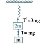The system shown in the figure is in equilibrium at rest. The spring and string are massless Now the string is cut. Find the acceleration of the blocks just after the string is cut.