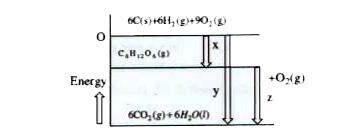 Consider the following energy level diagram:      Answer the following question on the basis of the given diagram   The quantity y is equal to