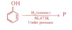 The product formed in the following reaction is