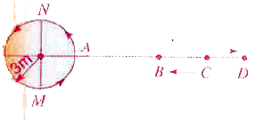 A source of soud is moving along a circular orhit of dins 3 m with an angular velocity of 10 rad/s. sound detector located far away from the source is executing linear simple harmonic motion along the line BD with amplitude BC = CD = 6m. The frequency oscillation of the detector is (5//pi) rev/sec. The source is at the point A when the detector is at the point B. If the source emits a continuous sound wave of frequency 340 H, find the maximum and the minimum frequencies recorded by the detector velocity of sound :: 330 m/s)