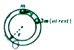 A particle of mass m moving with a speed v hits elastically another stationary particle of mass 2m on a smooth horizontal circular tube of radius r. The time in which the next collision will take place is equal to