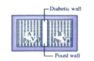 The two gases are seperated by a fixed diathermic wall, with initial states as (P(A), V(A)) and (P(b), V(B))