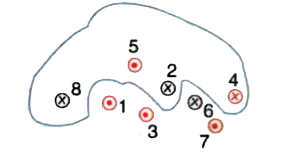 Eight wires cut the page perpendicularly at the points shown. Each wire carries current i0. Odd currents are out of the page and even currents into the page. Find the line intergal oint  vec B.vec(dl)  along the loop.