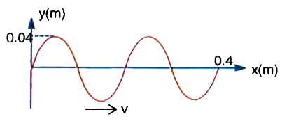 The position of a transverse wave travelling in medium along X-axis is shown in figure at time t = 0. Speed of wave is v= 200 m/s. Find   Frequency of the wave.