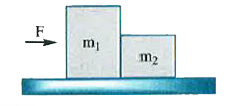 Two blocks are in contact on a frictionless table . A horizontal force is applied to one block as shown in fig . If m(1)=10kg
