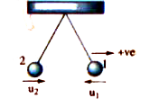 Two pendulum bobs of masses m and 2m collide elastically at the lowest point in their motion, when the centres are at the same level as shown in the figure. If both the balls are released from a height H above the lowest point, to what heights do they rise for the first time after collision ?