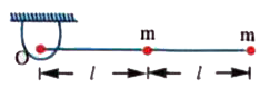 A light rigid rod is connected rigidly with two identical particles cach of mass m. The free end of the rod is smoothly pivoted at O. The rod is de released from rest from its horizontal position at t=0 Find the (i) angular acceleration of the rod, at t= 0. (ii) reaction offered by the pivot, at t= 0.