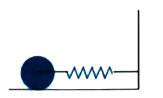 A solid cylinder of mass 'm' is attached to a horizontal spring with a force constant K. The cylinder can roll without slipping along the horizontal plane as shown in the figure. Find the time period of centre of mass of the cylinder