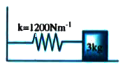 A spring of force constant 1200 Nm^(-1) is mounted on a horizontal table as shown in Fig.      A mass of 3.0 kg is attached to the free end of the spring, pulled side ways to a distance 2.0 cm and released. Determine  the frequency of oscillation of the mass.